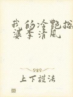 我的冷艳总裁老婆李清风