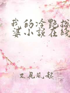 我的冷艳总裁老婆小说在线观看