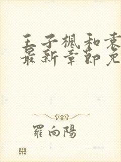 王子枫和袁雯洁最新章节免费阅读全文