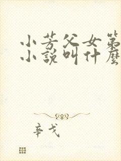 小芳父女第二部小说叫什么