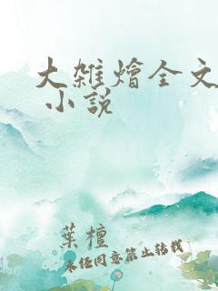 大杂烩全文阅读 小说