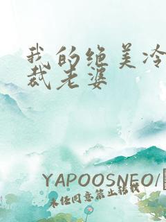我的绝美冷艳总裁老婆