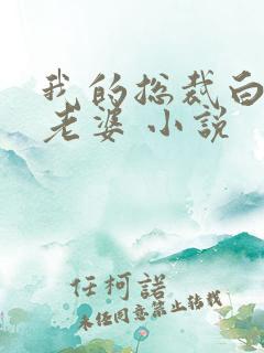 我的总裁白富美老婆 小说