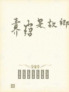 青山是故乡分集介绍