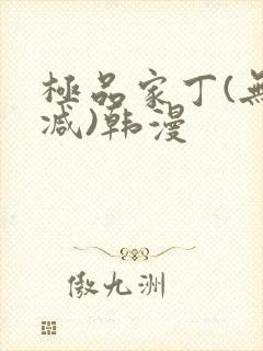 极品家丁(无删减)韩漫