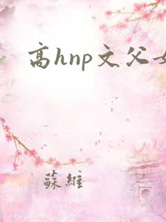 高hnp文父女