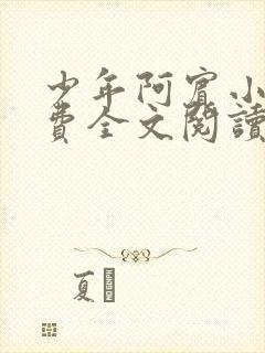 少年阿宾小说免费全文阅读无删减