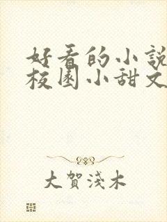 好看的小说言情校园小甜文