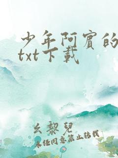 少年阿宾的故事txt下载