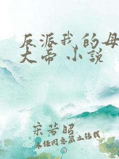 反派我的母亲是大帝 小说