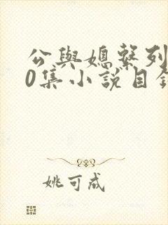 公与媳系列100集小说目录