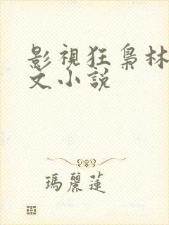 影视狂枭林云全文小说