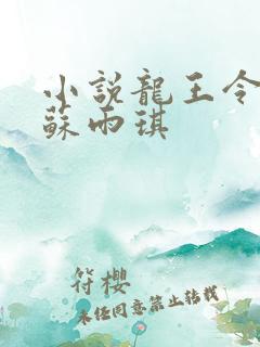 小说龙王令陈平苏雨琪