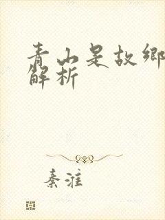 青山是故乡剧情解析