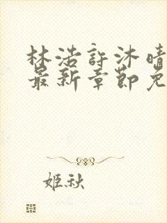 林浩许沐晴小说最新章节免费阅读全文