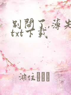 别闹了,薄先生txt下载