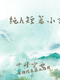 纯h短篇小说