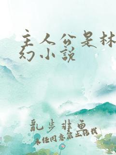 主人公是林天玄幻小说