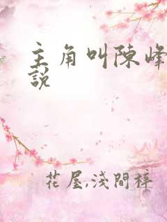 主角叫陈峰的小说