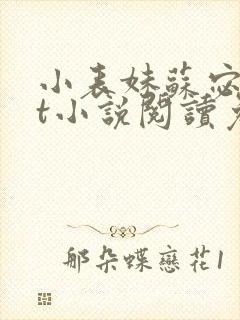 小表妹苏宓txt小说阅读免费