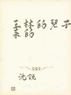 王林的儿子怎么来的