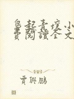 枭起青壤小说免费阅读全文无删减