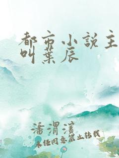 都市小说主人公叫叶辰