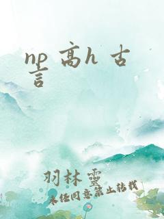np 高h 古言