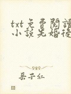 txt免费阅读小说先婚后爱