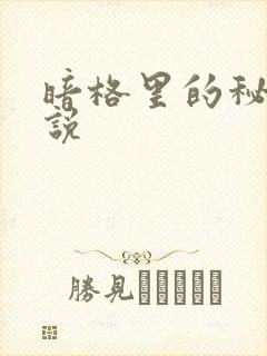 暗格里的秘密小说