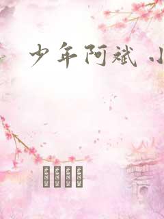 少年阿斌 小说