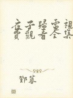 夜子归电视剧免费观看全集高清