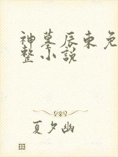 神墓辰东免费完整小说
