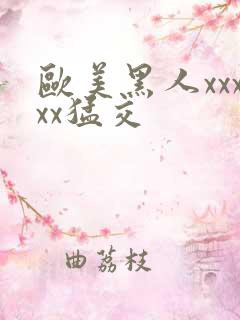欧美黑人xxxxx猛交