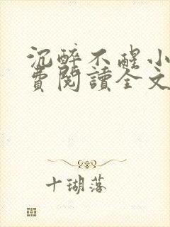 沉醉不醒小说免费阅读全文无弹窗