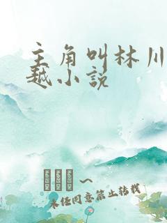 主角叫林川的穿越小说