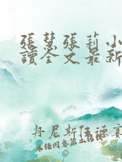 张慧张莉小说阅读全文最新章节