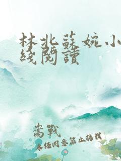 林北苏婉小说在线阅读