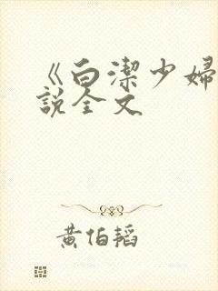 《白洁少妇》小说全文
