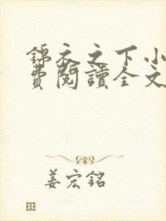 锦衣之下小说免费阅读全文无删减