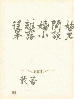 从离婚开始锋芒毕露小说免费阅读看书网