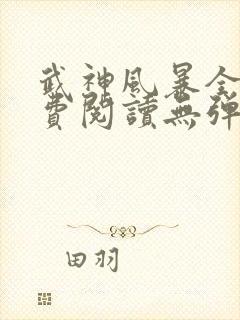 武神风暴全文免费阅读无弹窗笔趣阁