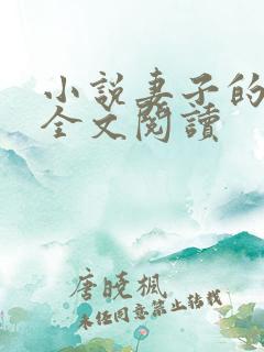 小说妻子的秘密全文阅读