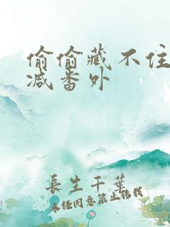 偷偷藏不住未删减番外