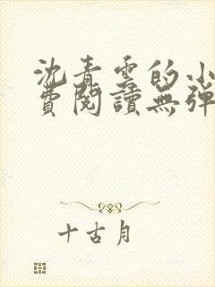 沈青云的小说免费阅读无弹窗