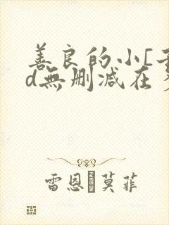 善良的小[子hd无删减在多少集