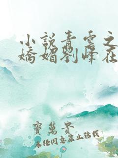 小说青云之红颜娇媚刘峰在线阅读