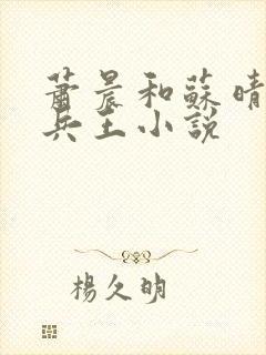 萧晨和苏晴全能兵王小说