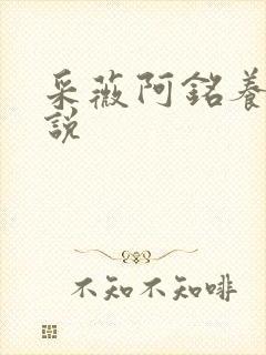 采薇阿铭养父小说