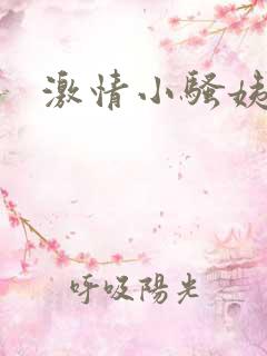激情小骚姨小说